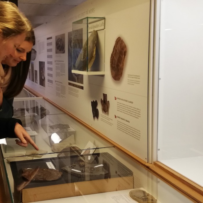 Kigger På Fossiler 2