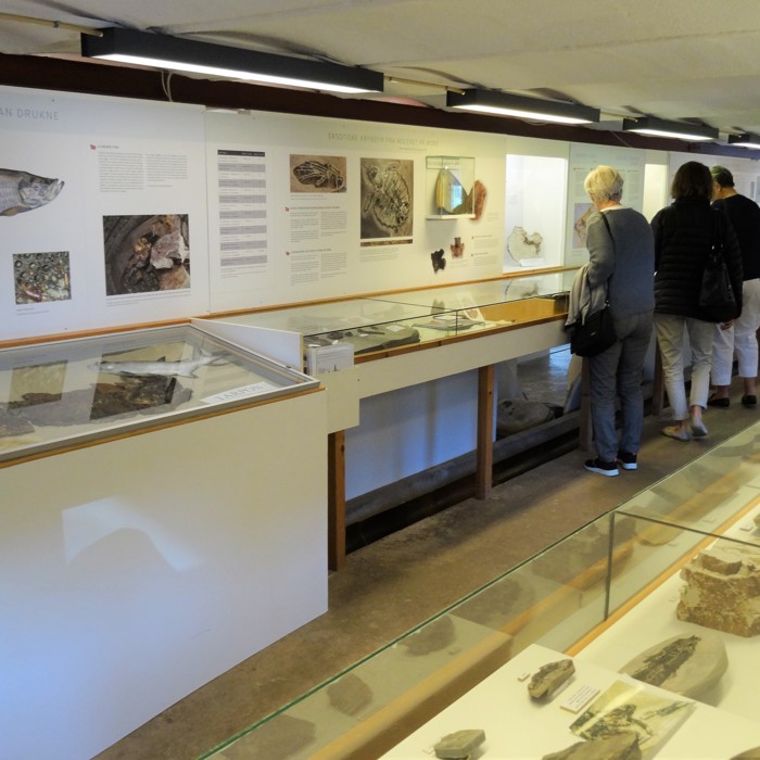 Gæster I Udstilling