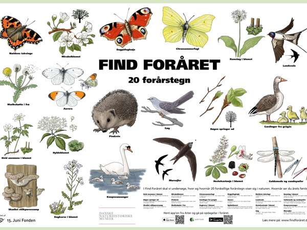 Find Foråret Plakat (1)