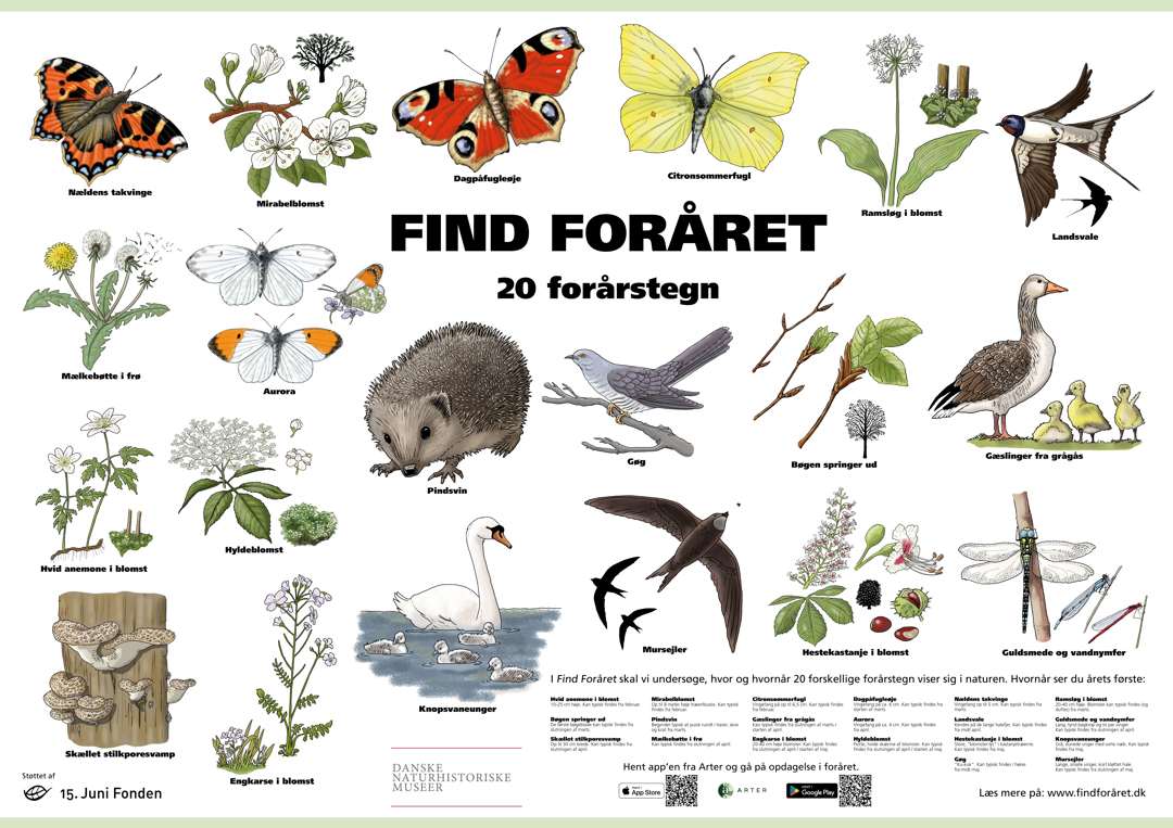 Find Foråret Plakat (1)