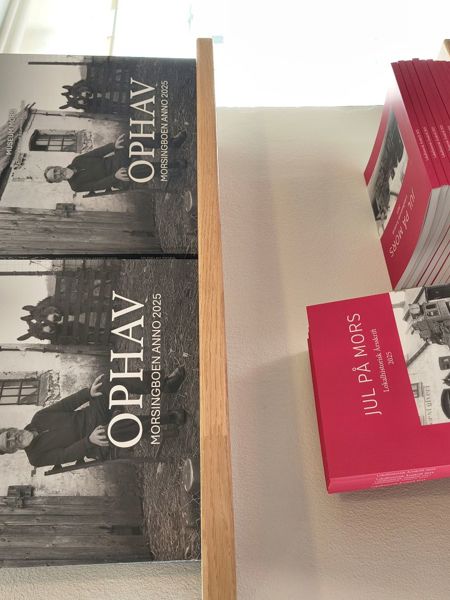 IMG 20251110 123735963 Lille