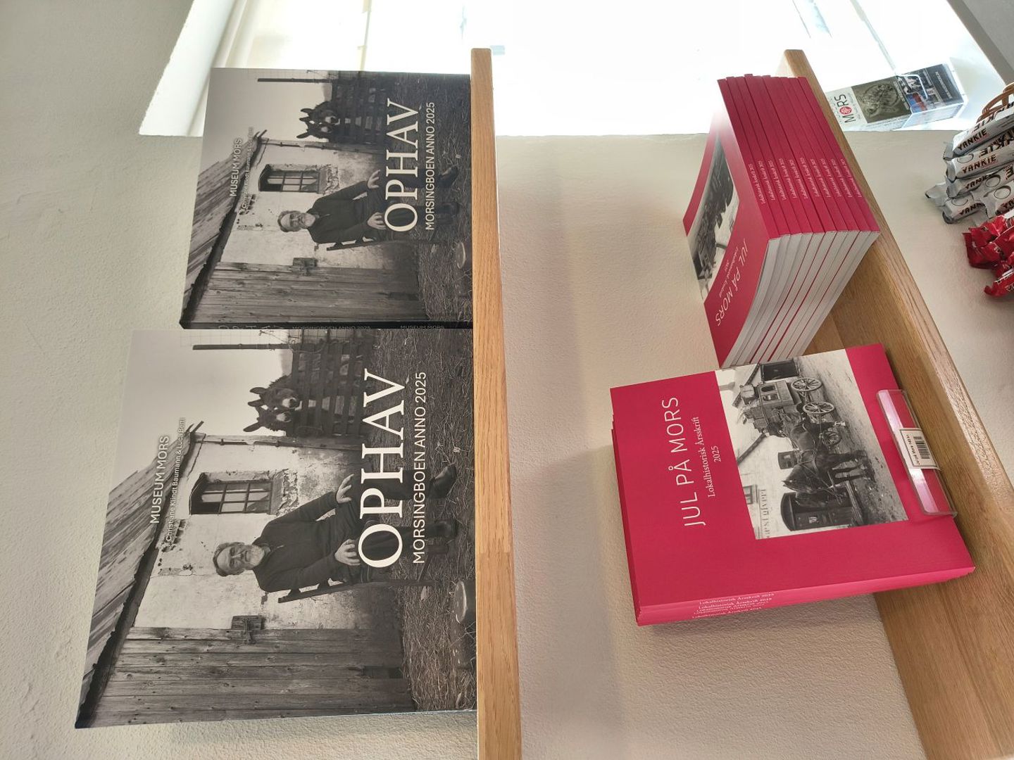 IMG 20251110 123735963 Lille